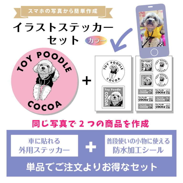 S-04-set-FC