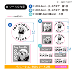 S-04-set-FC
