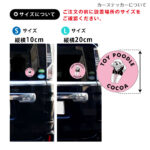 S-04-set-FC