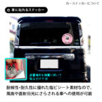 S-04-set-FC
